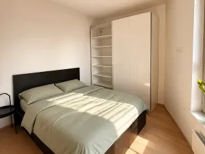 Pronájem bytu 1+kk, Praha - Strašnice, Michelangelova, 37 m2