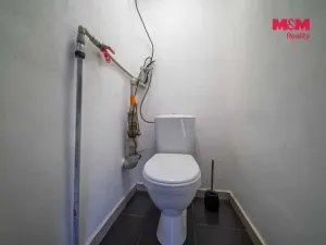 Pronájem výrobních prostor, Dubno, 150 m2