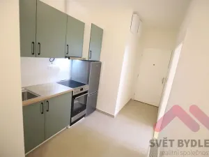 Pronájem bytu 1+kk, Praha - Vršovice, Slovinská, 28 m2