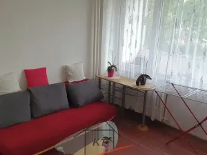 Pronájem bytu 1+kk, Ústí nad Labem, Hoření, 28 m2