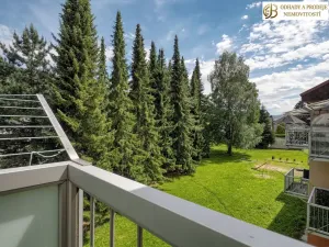 Prodej bytu 3+1, Česká Ves, Haškova, 64 m2