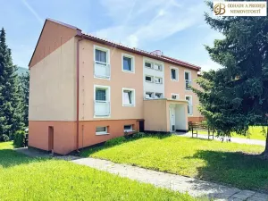 Prodej bytu 3+1, Česká Ves, Haškova, 64 m2