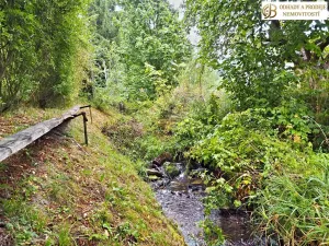 Prodej rodinného domu, Velké Losiny, Zadní, 190 m2