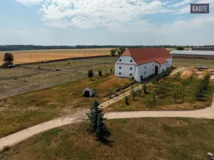 Prodej zemědělské usedlosti, Vlasatice, 5889 m2