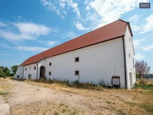 Prodej zemědělské usedlosti, Vlasatice, 5889 m2
