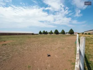 Prodej zemědělské usedlosti, Vlasatice, 5889 m2