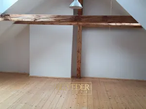 Pronájem bytu 3+1, Teplice, Polská, 110 m2