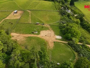 Pronájem komerčního pozemku, Planá, 33448 m2