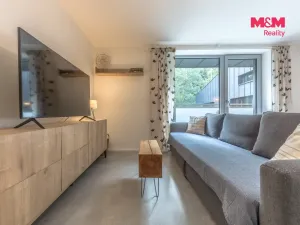Prodej bytu 1+kk, Janov nad Nisou, 29 m2
