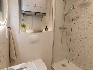 Pronájem bytu 1+kk, Praha - Nusle, Petra Rezka, 19 m2