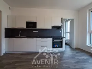 Pronájem bytu 2+kk, Liberec, U Nisy, 48 m2
