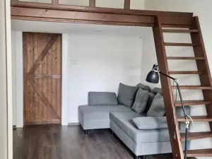 Pronájem bytu 1+1, Praha - Nusle, Nuselská, 42 m2