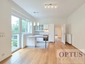 Pronájem bytu 2+kk, Praha - Podolí, Levá, 46 m2