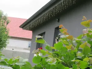Dražba rodinného domu, Útušice, 122 m2