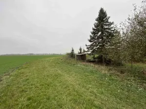 Dražba pozemku, Opolany, 1293 m2