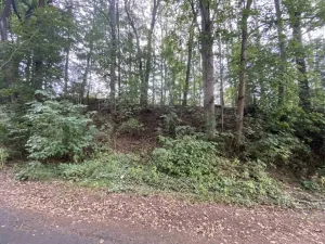 Dražba pozemku, Jindřichovice, 272 m2