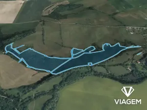 Prodej podílu lesa, Ždírec, 58800 m2