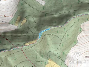 Prodej podílu lesa, Vysoké nad Jizerou, 932 m2
