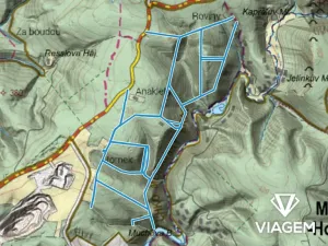 Prodej podílu lesa, Brno, 6105 m2