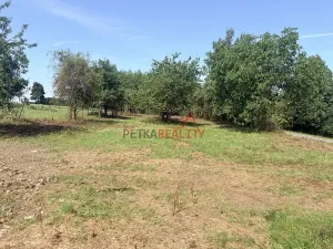 Prodej pozemku pro bydlení, Černíkovice, 2335 m2