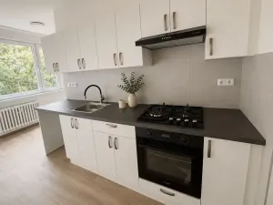 Pronájem bytu 3+1, Litvínov, Čapkova, 83 m2