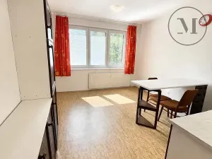 Pronájem bytu 2+kk, České Budějovice, O. Nedbala, 34 m2