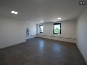 Prodej komerčního pozemku, Vlasatice, 83936 m2