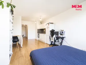 Prodej bytu 1+kk, Praha - Chodov, Bachova, 38 m2