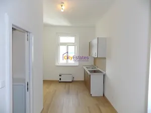 Pronájem bytu 1+1, Praha - Žižkov, Vlkova, 35 m2