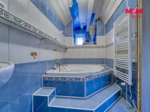 Prodej rodinného domu, Sokolov - Vítkov, Stará Ovčárna, 340 m2