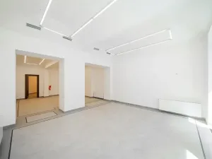 Pronájem obchodního prostoru, Praha - Nové Město, Petrská, 96 m2