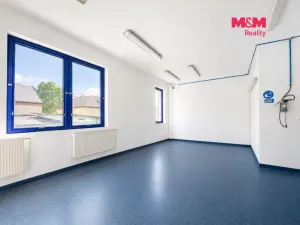 Prodej obchodního prostoru, Letohrad, Petříkov, 1200 m2