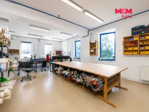 Prodej obchodního prostoru, Letohrad, Petříkov, 1200 m2