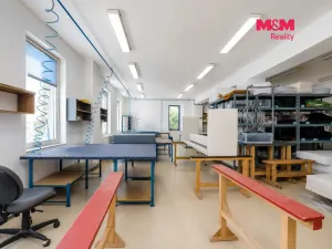 Prodej obchodního prostoru, Letohrad, Petříkov, 1200 m2