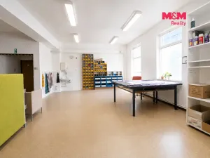 Prodej obchodního prostoru, Letohrad, Petříkov, 1200 m2
