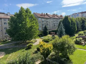 Prodej bytu 1+1, Brno, Dobrovského, 40 m2