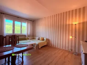 Prodej bytu 1+1, Kraslice, Čs. armády, 37 m2