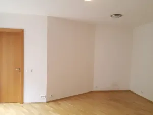 Pronájem bytu 2+kk, Praha - Podolí, Nedvědovo náměstí, 51 m2