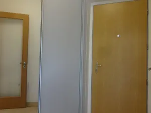 Pronájem bytu 2+kk, Praha - Podolí, Nedvědovo náměstí, 51 m2