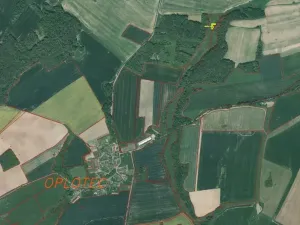 Dražba pole, Horšovský Týn, 385 m2