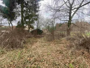 Dražba pozemku pro bydlení, Dolní Bukovsko, 1427 m2