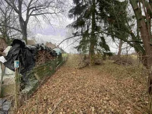 Dražba pozemku pro bydlení, Dolní Bukovsko, 1427 m2