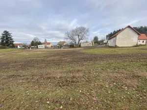 Dražba louky, Slavče, 1010 m2