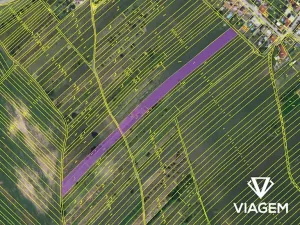 Prodej podílu sadu/vinice, Hrušky, 321 m2
