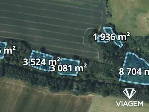 Prodej lesa, Katusice, 6304 m2