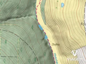 Prodej lesa, Lhota, 2135 m2