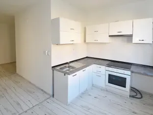 Prodej bytu 2+1, Chomutov, Skalková, 60 m2
