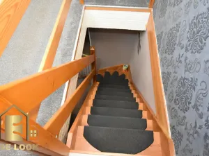 Prodej rodinného domu, Týniště nad Orlicí - Petrovičky, 170 m2