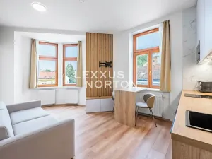 Prodej bytu 1+kk, Praha - Podolí, Sinkulova, 25 m2