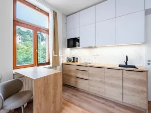Prodej bytu 1+kk, Praha - Podolí, Sinkulova, 25 m2